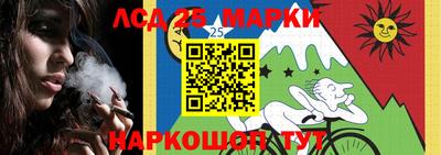 гидра Заводоуковск