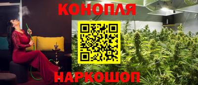 гидра Заводоуковск