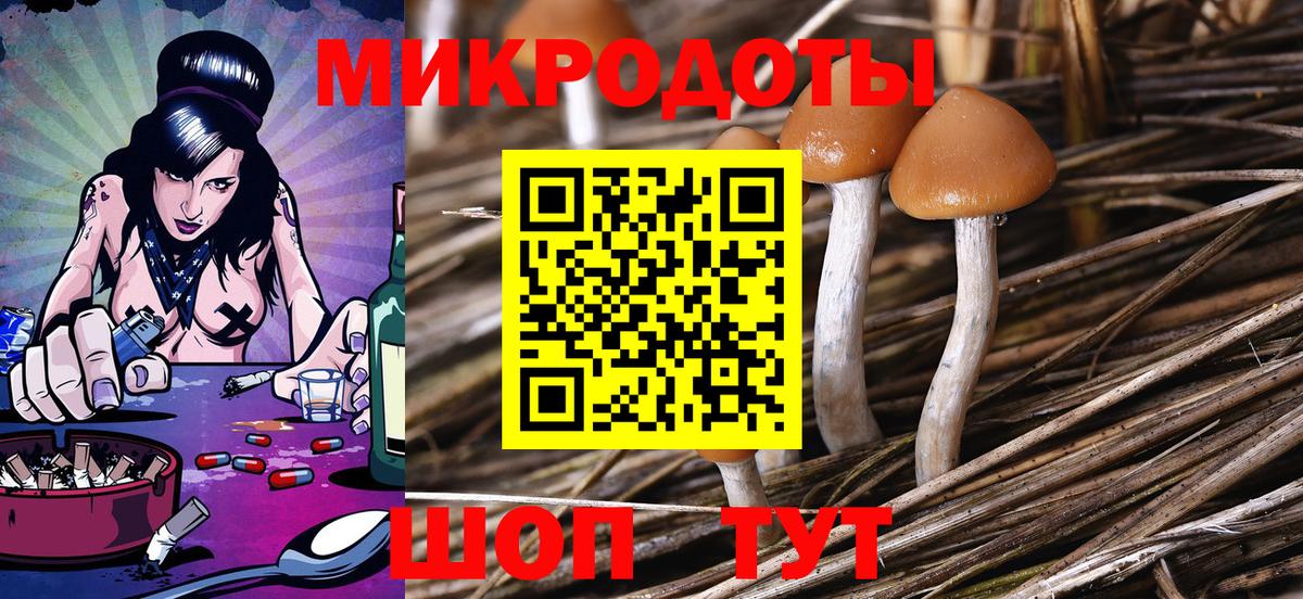 Галлюциногенные грибы прущие грибы  Вход с VPN  Галлюциногенные грибы мицелий  Гагарин 